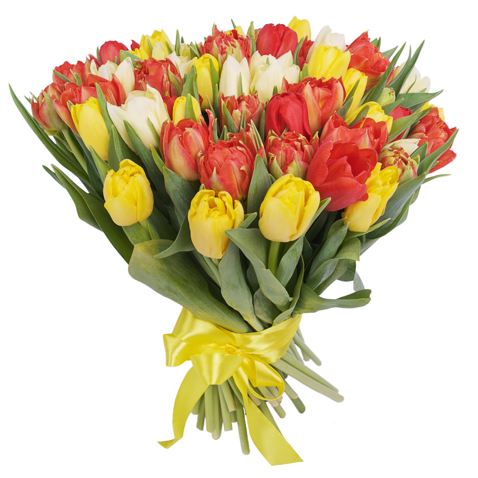 Tulpen Mix